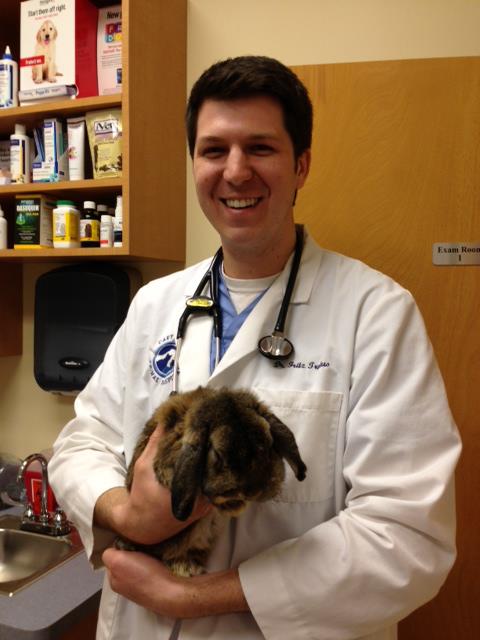Cary Grove Animal Hospital Fox River Grove, IL. Cary, IL. Dr. Fritz Trybus Rabbit Veterinarian Cary Grove Animal Hospital Fox River Grove, IL. Cary, IL. Dr. Fritz Trybus Rabbit Veterinarian
