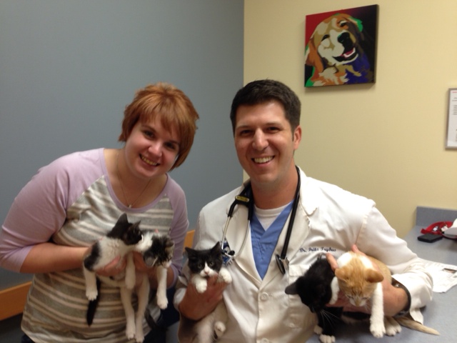 Cary Grove Animal Hospital Dr. Fritz J. Trybus DVM Cary, IL Cary Grove Animal Hospital Dr. Fritz J. Trybus DVM Cary, IL