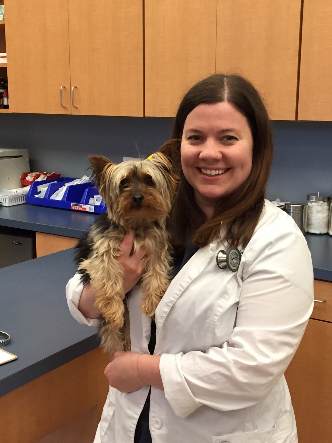 Staff Member Holding Dog